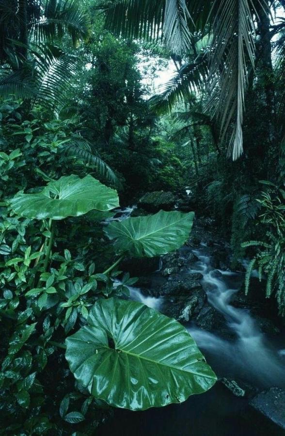 Casa De Vacaciones Ecowasi Veras Capurgana Luaran gambar